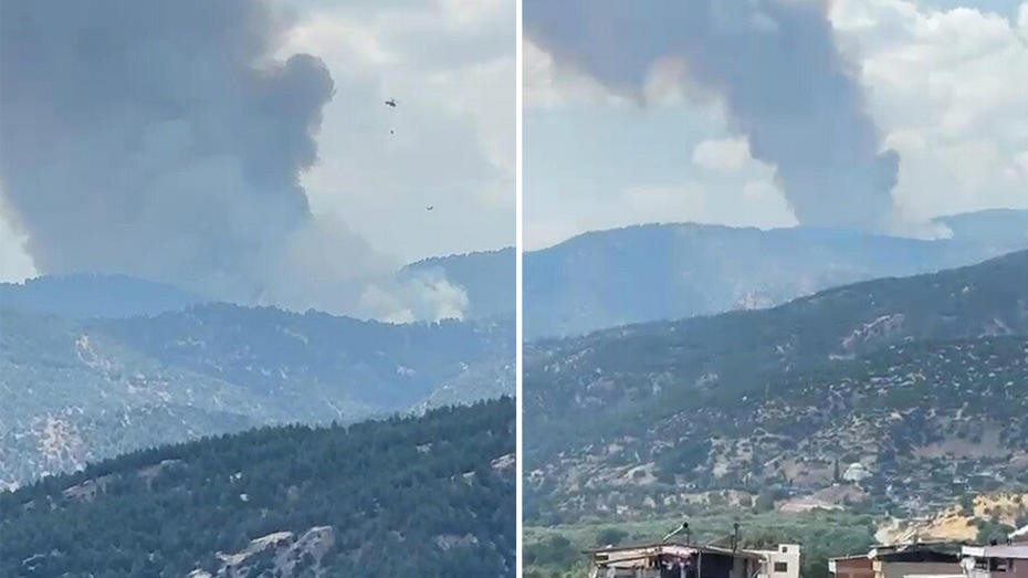 Aydın Kuyucak'ta Orman Yangını Büyük Çaba ile Kontrol Altına Alınıyor