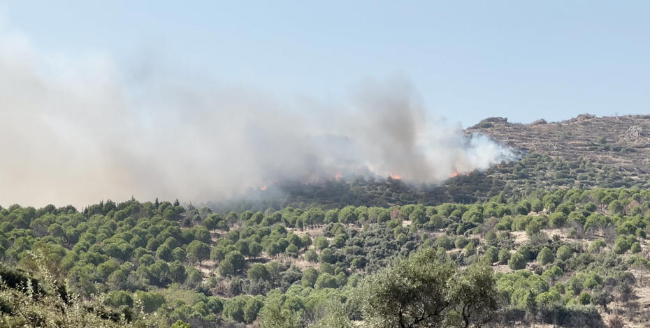 İzmir’de Ödemiş’te Orman Yangını Kontrol Altına Alındı