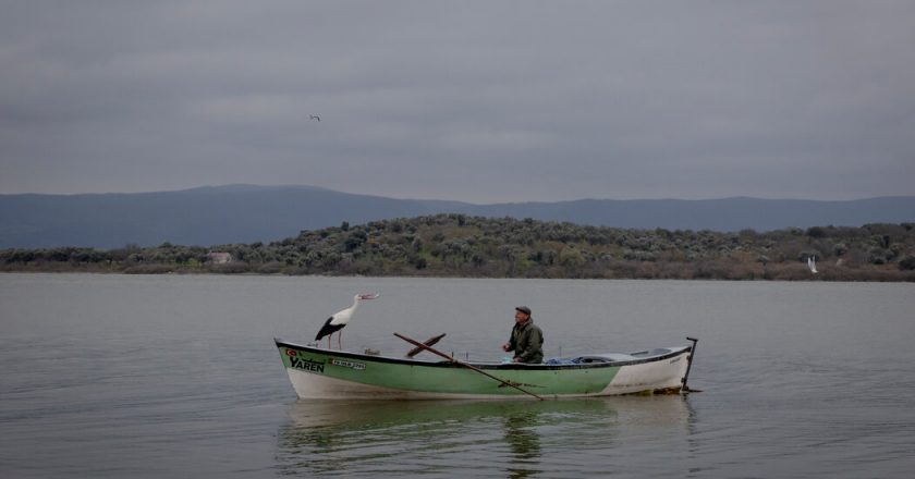 A stork, a fisherman and their unlikely bond enchant Turkey