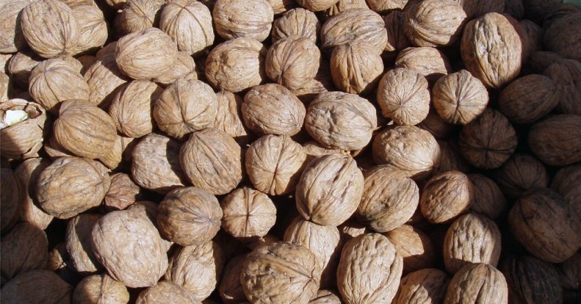 Walnuts removed from whole foods after E. Coli outbreak