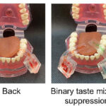 It is like virtual reality glasses for the mouth