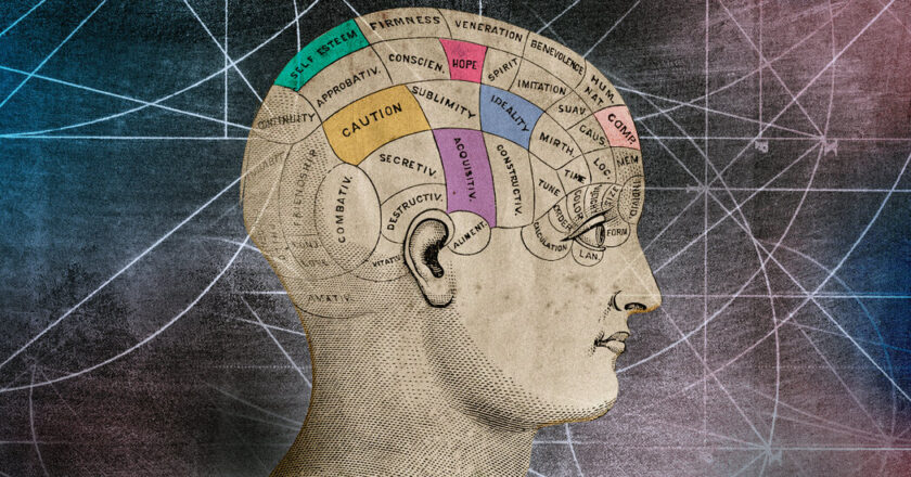 Two theories of consciousness have been addressed. The referee took a beating.