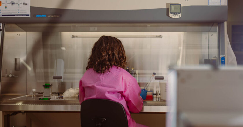 Trump proposes to cut domestic expenditure on the lowest level of the modern era