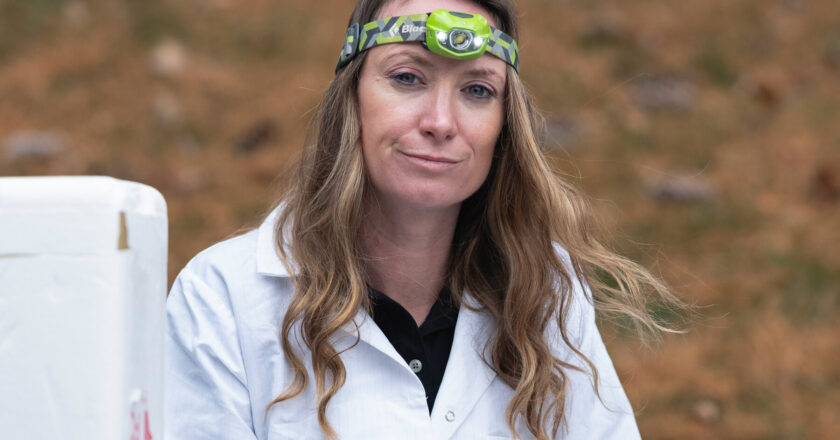 Researcher on Mosquitoes for Malaria Prevention Loses U.S.A.I.D. Position